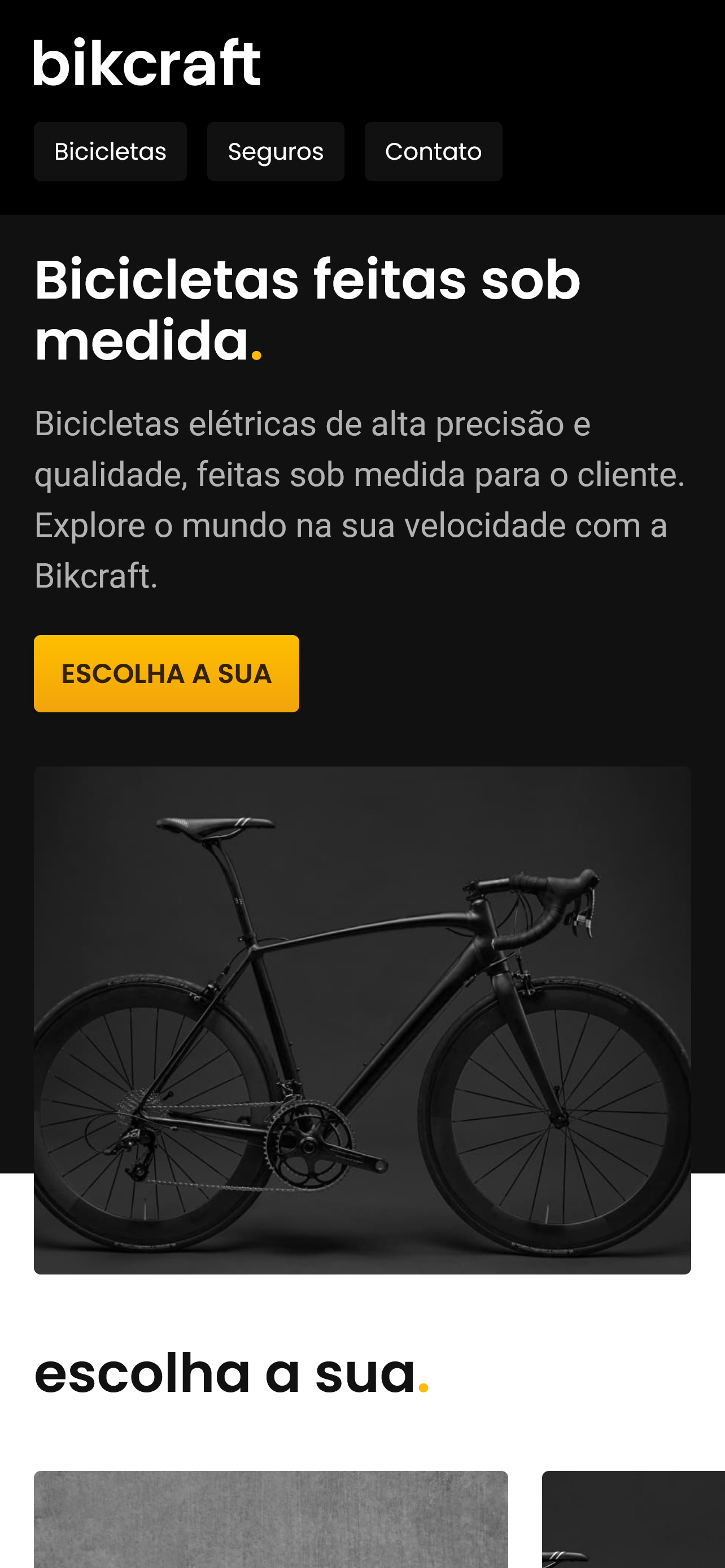 Projeto Bikcraft